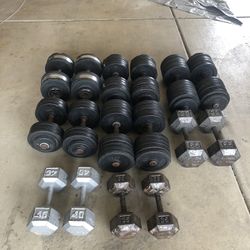 Weights Dumbbells Barbell