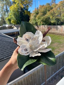 Handmade Oyster Shell Magnolia Flower Decoration