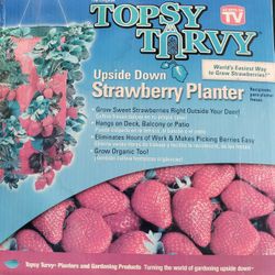 Topsy Turvy Strawberries Planter