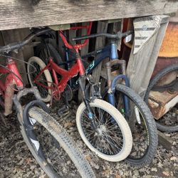 Bikes ($10 Each One)