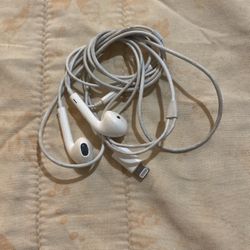 iPhone Earbuds White