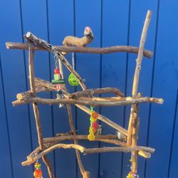 Large Parrot / MACAW parrot Perch Tree.., Curvy And Funky / Thick - A Great Parrot Socializer !