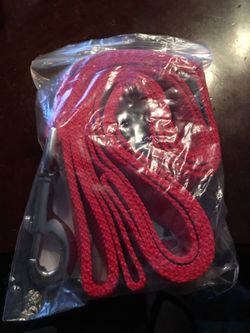 Caldwell dog leash