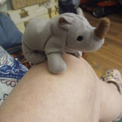 Rare Rhino Bernie Baby