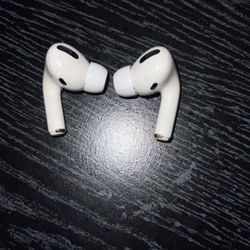 AirPods Pro (No Case) 