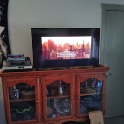 Insignia.  Fire T.V 