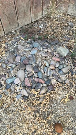 Free Rocks