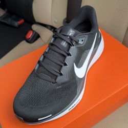 New Nike air zoom Pegasus 41 Size 9 
