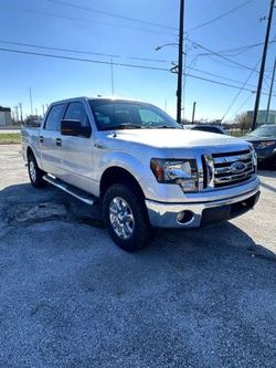 2013 Ford F150 SuperCrew Cab