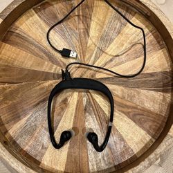 Motorola Bluetooth Stereo Headphones