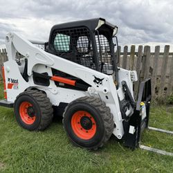 Bobcat 