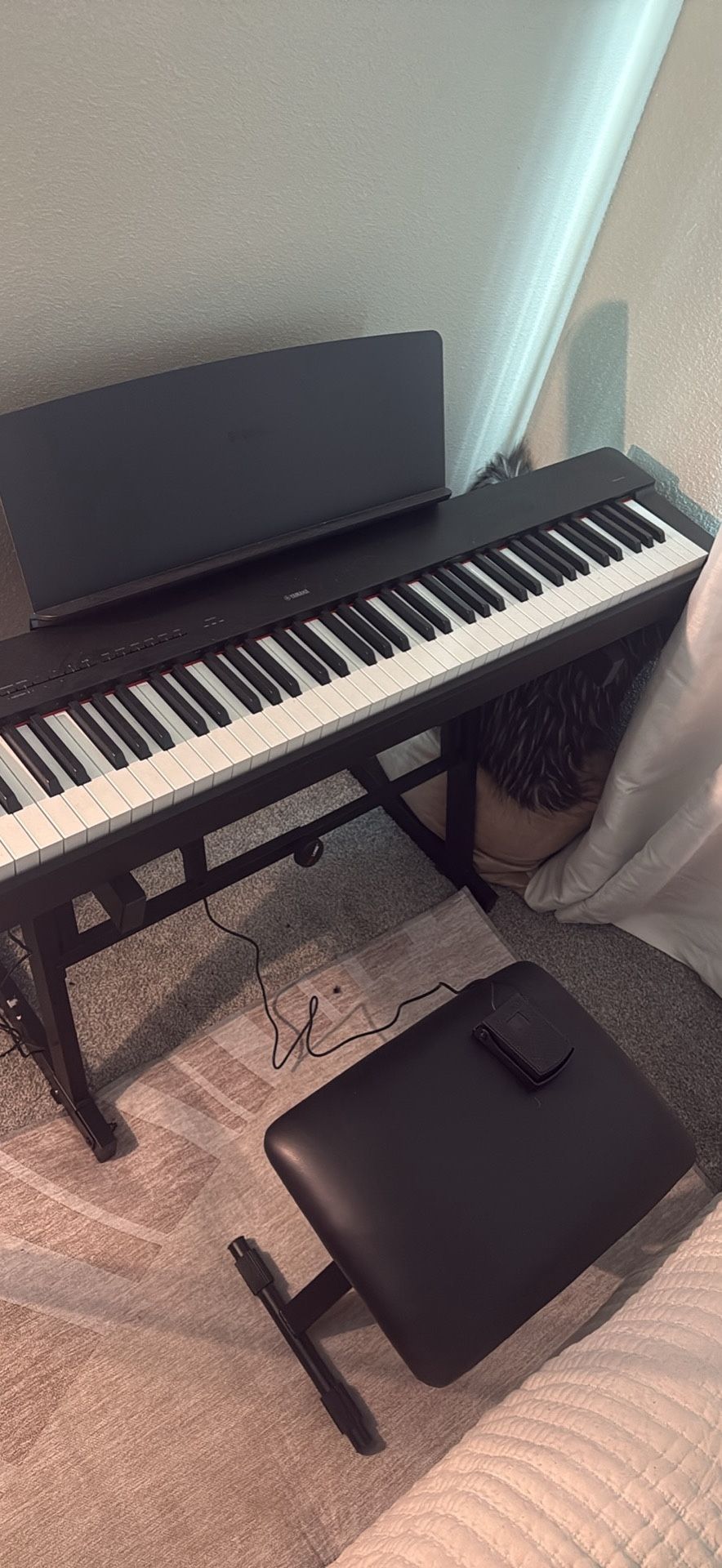 Yamaha P-225 (Full Set Up)