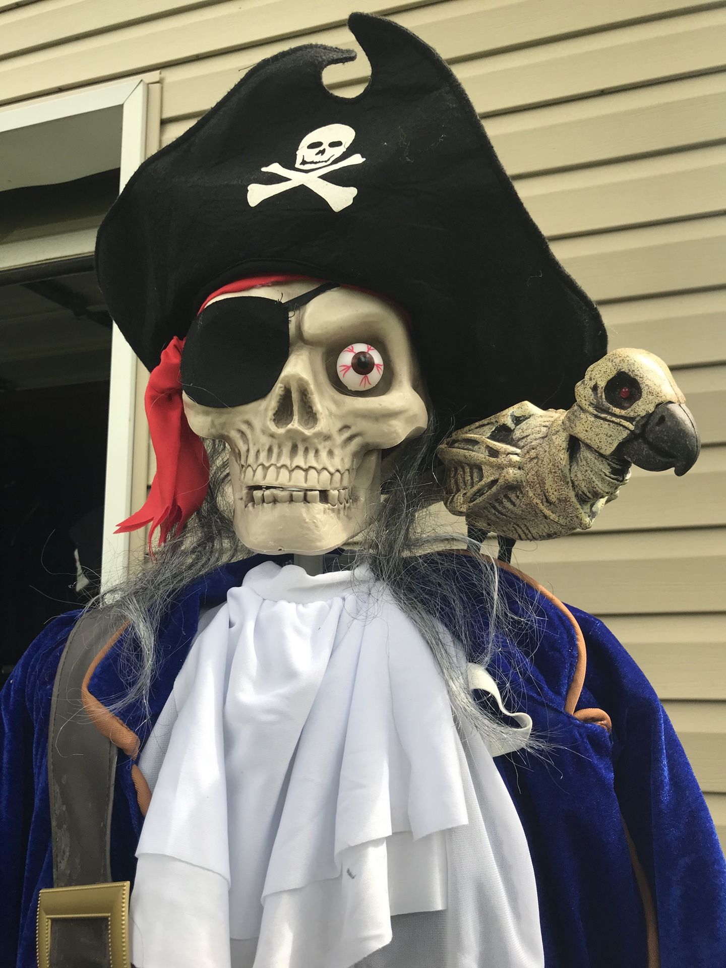 Animated Halloween pirate decoration