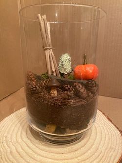 Terrarium