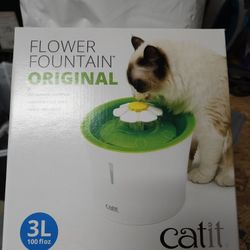 Cat Drinking Water Fountain 