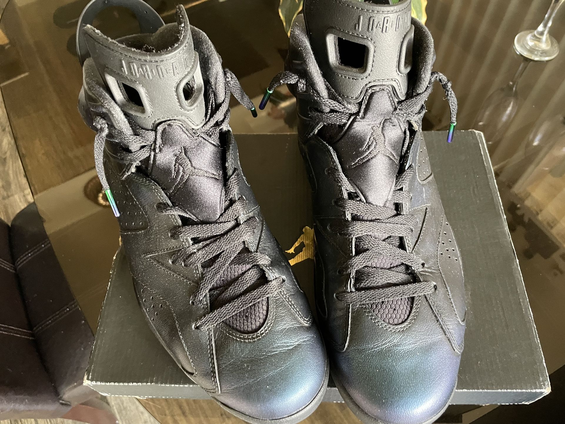 Retro Jordan 6’s Chameleon Size 12