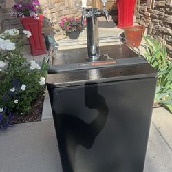 Dual Tap Kegerator 
