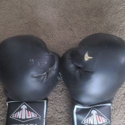 Century Boxing Gloves