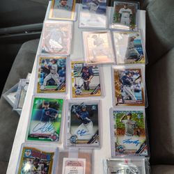 Sport Card Collection 