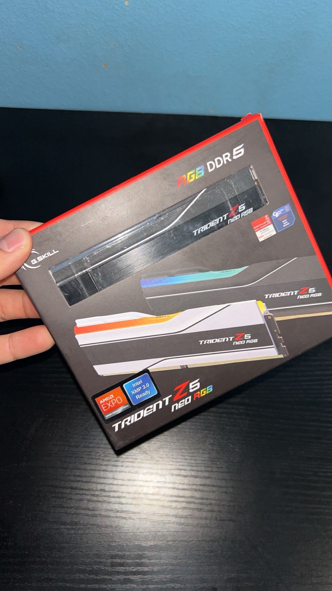 Computer Ram Sticks