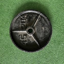 45 lb Plates 