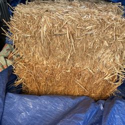Straw Bedding /Fall Decor