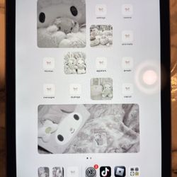 Apple iPad 