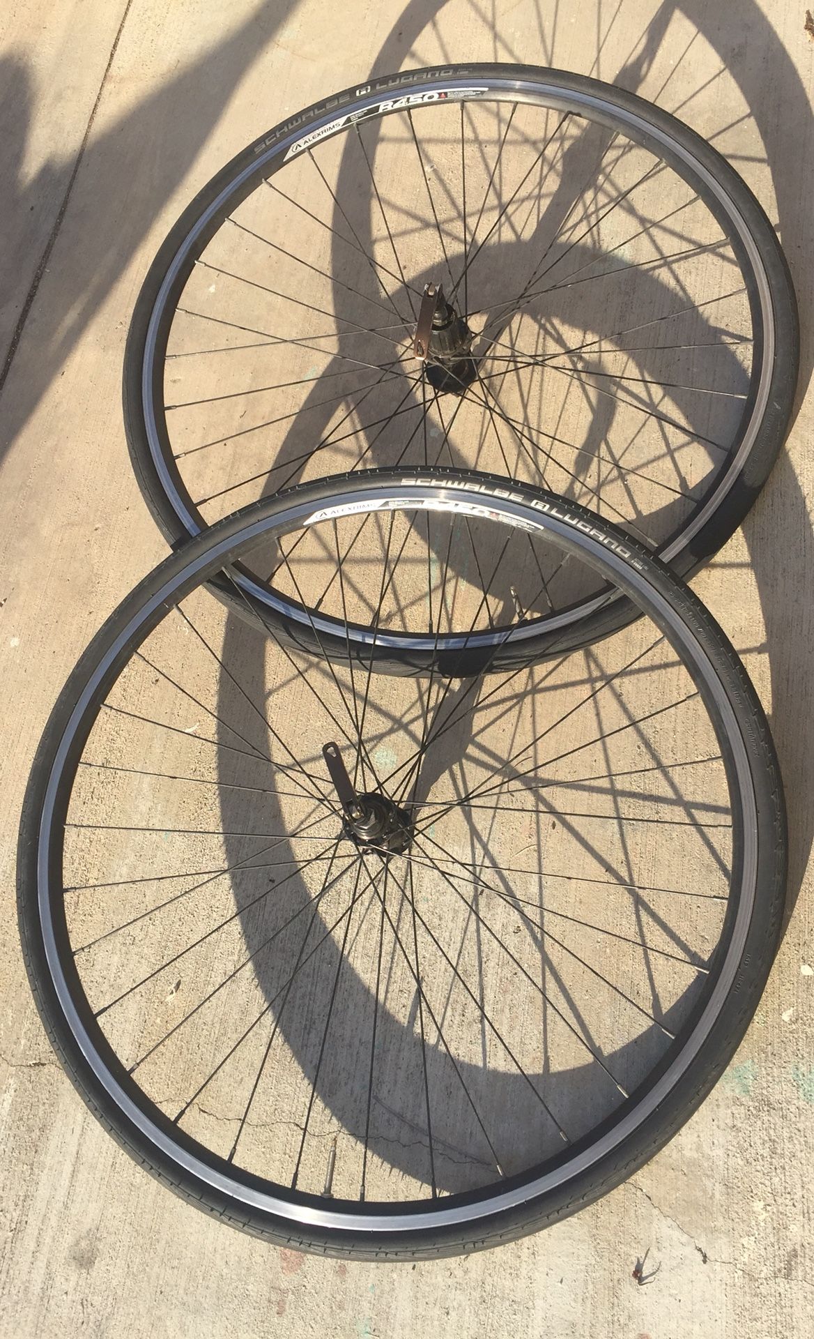 Road bike 700c Alexrims R450 rims Schwalb tires