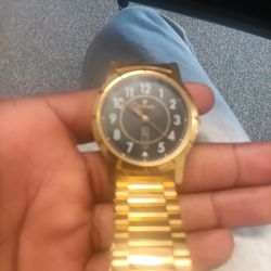 Titan Indian watch