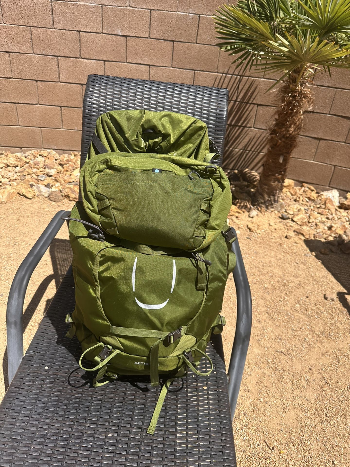 Osprey Aether 65 Men's Backpacking Backpack , Garlic Mustard Green, Large/X-Large