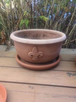 Large Terracotta Pot and saucer