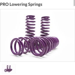 D2 Racing lowering springs