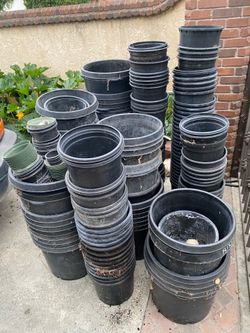 FREE nursery pots
