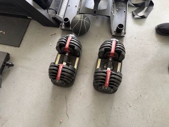 Bowflex Dumbells