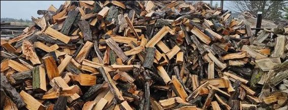 Cords of maple$ 250