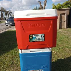 Igloo Cooler