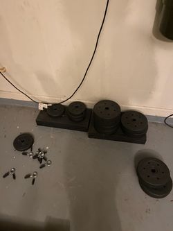Weights And Bench