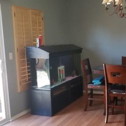 120 Gallon Fish Tank 