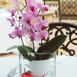 Heavy Duty Glass Vases