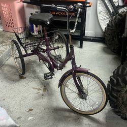 3 Wheel Bike/cruiser 