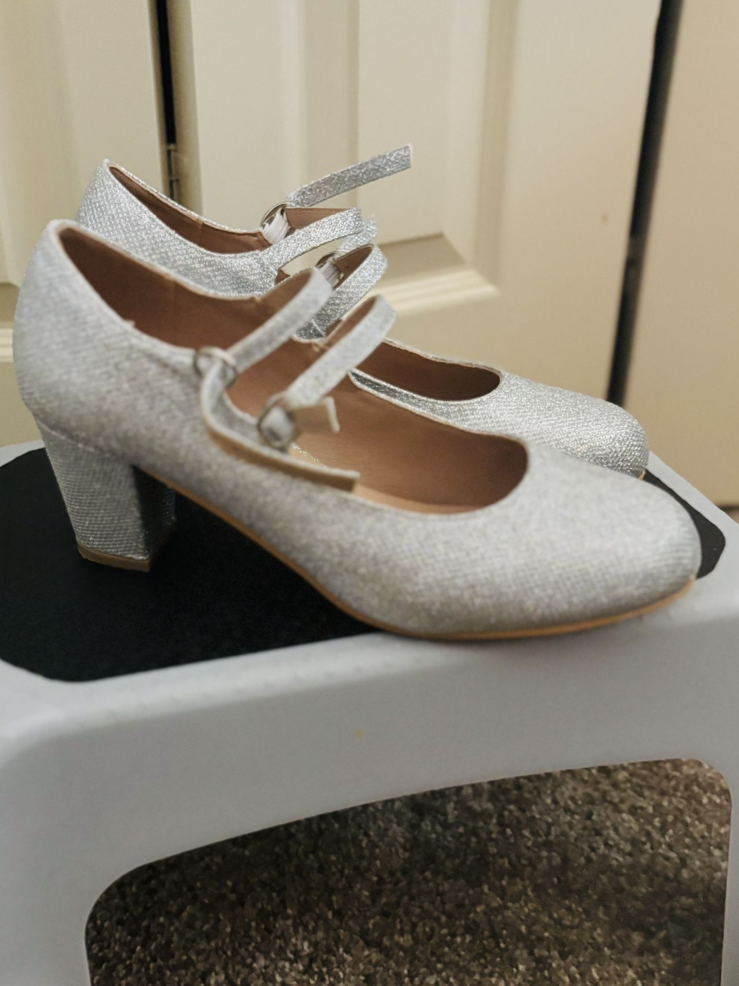 Silver Shoes