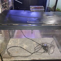 20 Gallon Aquarium 