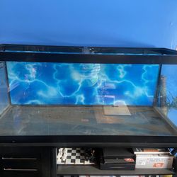 75 Gallon Reptile Tank with Lid