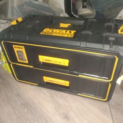 Dewalt 2.0 Box