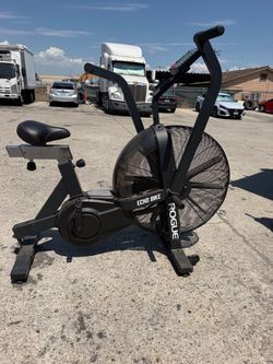 Rogue Echo Bike