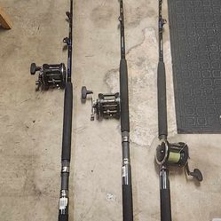 Halibut polls $150.00 Each