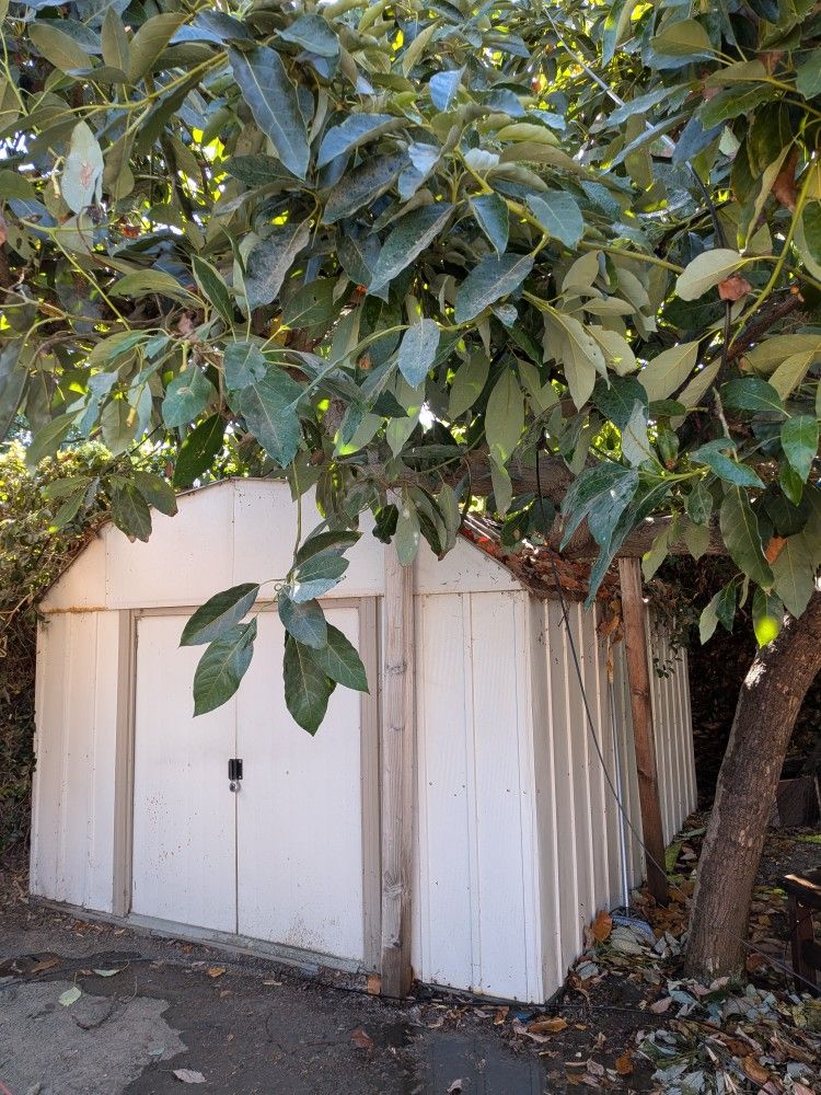 Shed