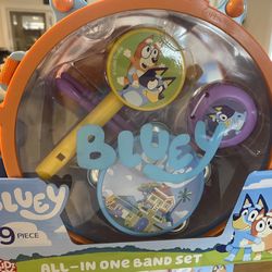 Bluey Band Set 
