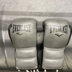 8 Oz Everlast Boxing Gloves