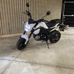 2023 Honda Grom clone